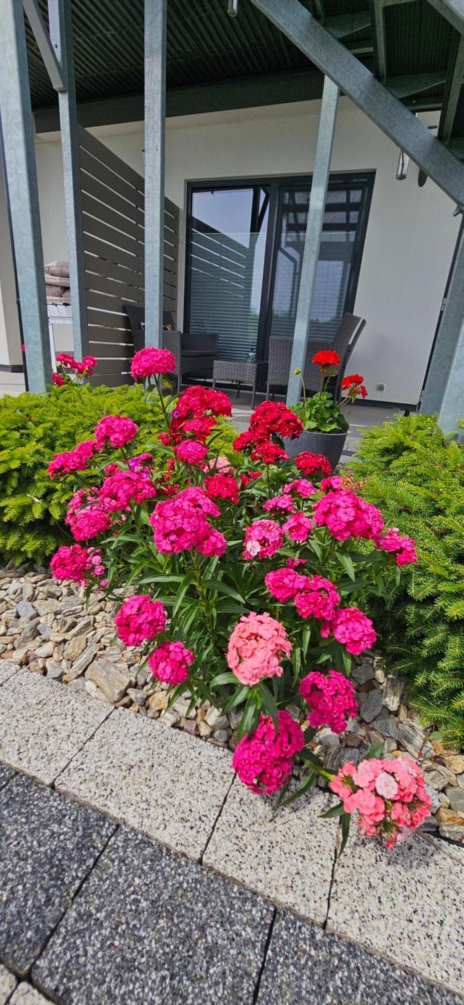 Apartamenty Polanki 2 - Sauna, Jacuzzi, Podgrzewany Basen Leba Exterior foto